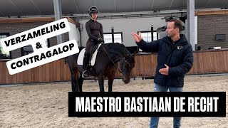 DE BESTE TIPS VOOR CONTRAGALOP VAN BASTIAAN DE RECHT [upl. by New]