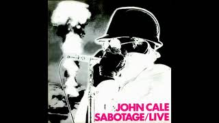 John Cale  Rosegarden Funeral Of Sores Studio Bonus Track [upl. by Louis]