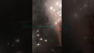 Fabulous Diwali bursting crackers 2024 diwalispecial firecracker fireworks spectacularshow [upl. by Inait465]