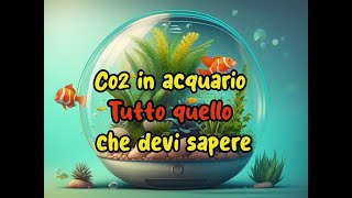 Co2 in acquario  Tutto quello che devi sapere [upl. by Debby856]