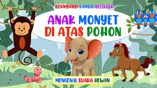 BERNYANYI SAMBIL BELAJAR  ANAK MONYET DI ATAS POHON MENGENAL SUARA HEWAN [upl. by Tahmosh]