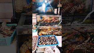 Live Seafood Aquarium [upl. by Buhler]