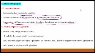 RBCs metabolism [upl. by Anaxor]