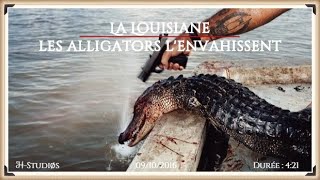 LA LOUISIANE  Les alligators lenvahissent [upl. by Eseilanna]