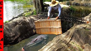 BUILDING a BRIDGE to STOP EXOTIC FISH in NEW BACKYARD POND [upl. by Anik327]