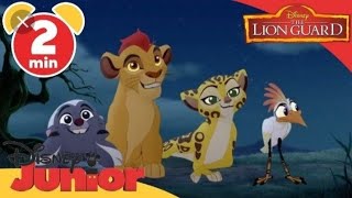 The Lion Guard [upl. by Basil]