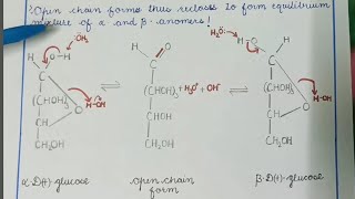 Mutarotation in glucose [upl. by Asit]