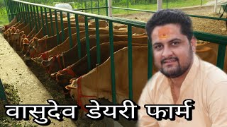 HighTech Jersey Cow Dairy Farm कैसे शुरू करें  Vasudev Dairy Farm Sirsa Haryana [upl. by Haskel465]