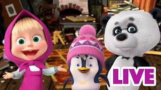 ماشا والدب 👱‍♀️ LIVE STREAM 🐧🐼 العيش مع الإخوة 🐧🐼 Masha and the Bear [upl. by Adnara]