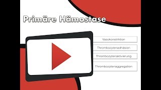 Primäre Hämostase [upl. by Safir]