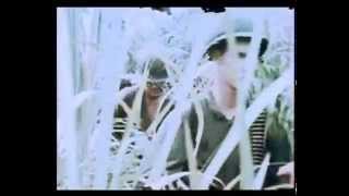 vietnam war music video death from above [upl. by Libbna]