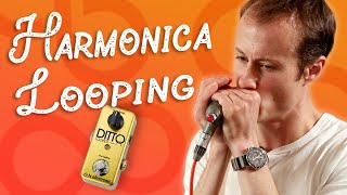 Harmonica Looping [upl. by Nenad4]