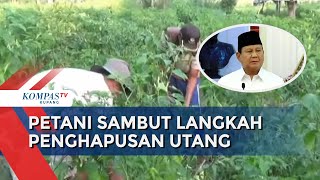 Petani Sambut Positif Langkah Presiden Prabowo Hapus Utang Petani dan UMKM [upl. by Goggin]