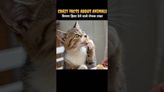 Crazy Facts About Animals🥵🤯  Amazing Facts  facts shorts [upl. by Normandy]