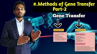 Methods of gene transfer Part2  Liposome mediated gene Transfer  BSc 2nd year Zoology 4rth Sem [upl. by Alyn]