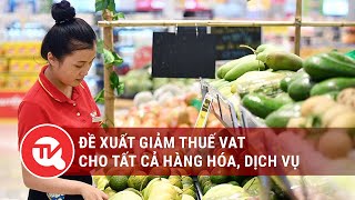 Đề xuất giảm thuế VAT cho tất cả hàng hóa dịch vụ  Truyền hình Quốc hội Việt Nam [upl. by Bernette]