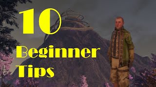 10 Beginner Tips to Start Out  Outward Definitive Edition [upl. by Aristotle69]