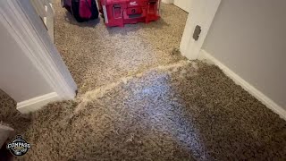 Compass Carpet Repair  Carpet Pet Damage Patch Repair In Edgewood KY [upl. by Suirtemid670]