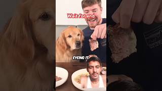 🐶dog food steak dogfood foodie mrbeast trending shorts video🐕🤩 [upl. by Berty]