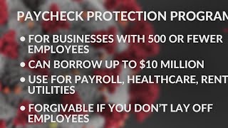 Businesses can start applying for Paycheck Protection Program on Friday [upl. by Hasty708]