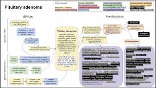 Pituitary adenoma mechanism of disease [upl. by Balas]