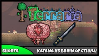 Terraria 123  Boss Battles  Brain Of Cthulu VS Katana [upl. by Yecies]