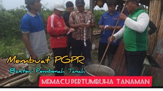 PGPR Memacu Pertumbuhan Semua Tanaman Murah Meriah [upl. by Ungley]