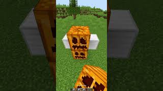 Titan Golem in Minecraft😱もういいよ shorts [upl. by Eicats778]