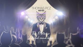 The Motans  Viitorul sună bine  Thomas Pcz Remix [upl. by Ahsenor]