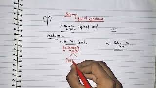 What is Brown Sequard Syndrome  Ipsilateral and Contralateral loss of Sensations [upl. by Ardeahp]