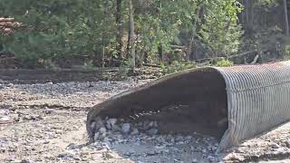 Lyndonville VT Brook Rd Flood Damage 2024 07 30 160152 [upl. by Gwyn249]