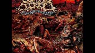 Guttural Secrete  Coprophilic Asphyxia [upl. by Enwahs]