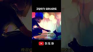 딧슈 네코 커버 DISH 猫 Neko Cover shorts cover neko [upl. by Trefor]