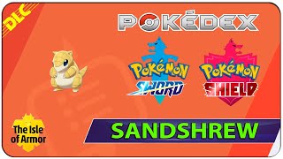 How to Get Sandshrew  168 The Isle of Armor Pokedex  Pokemon Sword amp Shield [upl. by Holle]