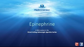 Epinephrine [upl. by Htebiram286]