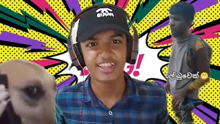 කන්ස නීතිගත කරන්න ඕනි react by Aladdin [upl. by Cort]