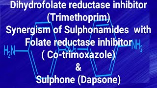 Trimethoprim Cotrimaxazole amp Dapsone [upl. by Riehl613]