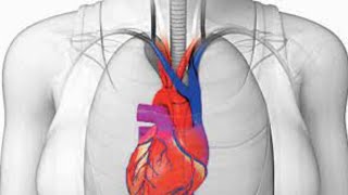 What is Dextrocardia Symptoms Causes Treatment [upl. by Remled177]