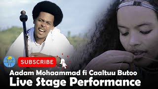 Aadam Mohaammad fi Caaltuu Butoo  Live Stage Performance [upl. by Nnalorac542]