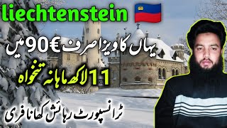 Liechtenstein work visa 2024  Liechtenstein jobs apply process [upl. by Nevram]