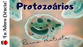 Reino Protista Aula 1  Protozoários [upl. by Nanny476]