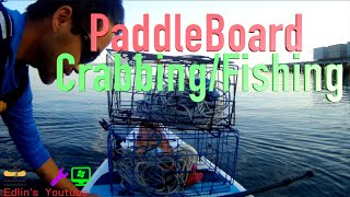 Fishing amp Crabbing  On a Paddleboard [upl. by Nonregla835]