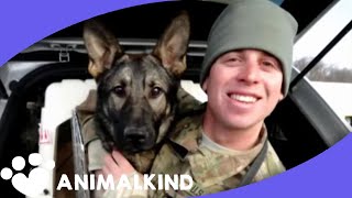 Army dog races into arms of soldier after 3 years apart [upl. by Nnaeoj]