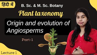 Plant taxonomy  Origin and Evolution of Angiosperm part1  in Hindi  Botany  B Sc amp M Sc [upl. by Ardyth]