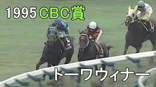 トーワウィナー 1995年平成7年第31回CBC賞G2 [upl. by Trebled758]