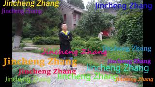 Enough Vibes DJ LAWY  Jincheng Zhang Official Music Video [upl. by Meelak280]