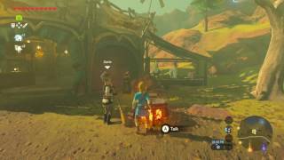 How to MakeBuy Fire Resistant Potions Zelda Breath of The Wild Tutorial [upl. by Eneli832]