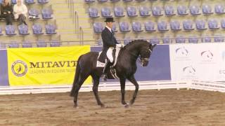 David Shoorbridge and 00 Seven winning Freestyle at the NSW State Dressage Championships [upl. by Anomor]