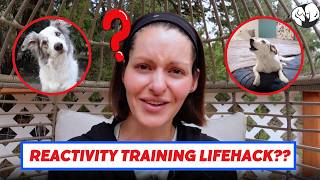 This Reactivity Training Hack WILL Transform Your Dog [upl. by Vasilis]