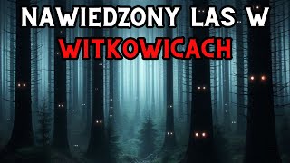 Nawiedzony Las w Witkowicach  Aktywność Paranormalna [upl. by Skier]